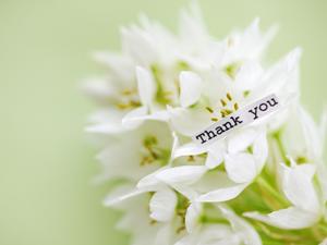 お気に入りのグレーのカラコンを探す